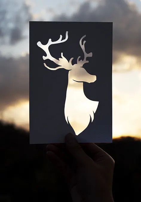 Utilizing negative space effectively